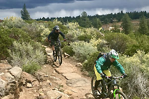 Bikers on a dirt trail.