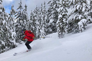 Couple snowshoeing down a small hill and creating a snow cloud behind them.