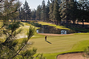 Green with greenside bunker in the fore and lateral water hazard in the distance.