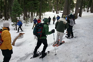 Group of people snowshoeing and listening to a guide while standing in a forest.