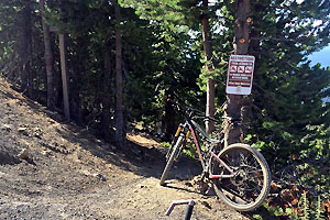 Mountain bike leaning against a tree along the "Paulina Plunge" trail as it decends.