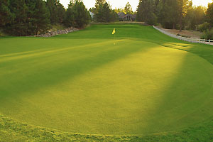 Green with yellow flag and fairway in the distance.