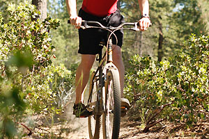 Person on mountain bike riding on path in the Paulina Mountains.