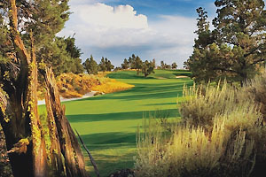 Fairway with greenside bunker in the distance.