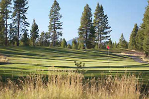 Green with red flag and fairway in the distance.