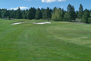 Green with fairway bunker and fairway in the distance.