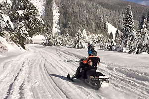 Couple snowshoeing down a small hill and creating a snow cloud behind them.