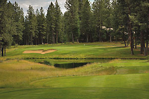 Tee with water hazard, greenside bunker, green, and white flag in the distance.