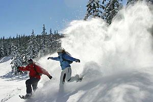 Couple snowshoeing down a small hill and creating a snow cloud behind them.