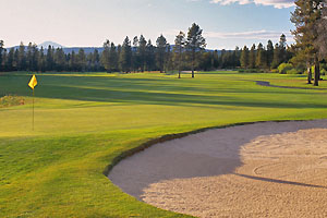 Green with yellow flag, greenside bunker, and fairway in the distance.